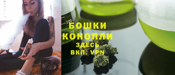трава Гусиноозёрск