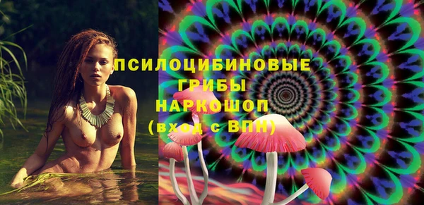 трава Гусиноозёрск