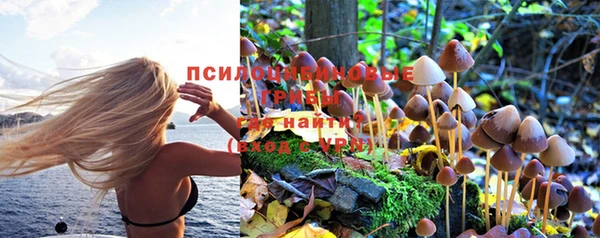 прущая мука Гусь-Хрустальный
