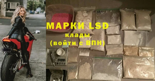 экстази Гусев
