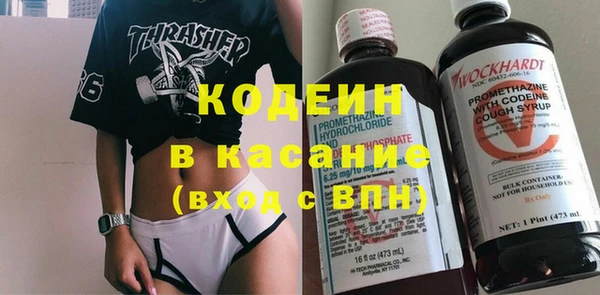 трава Гусиноозёрск