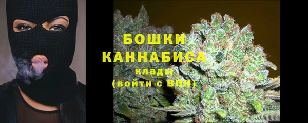 трава Гусиноозёрск