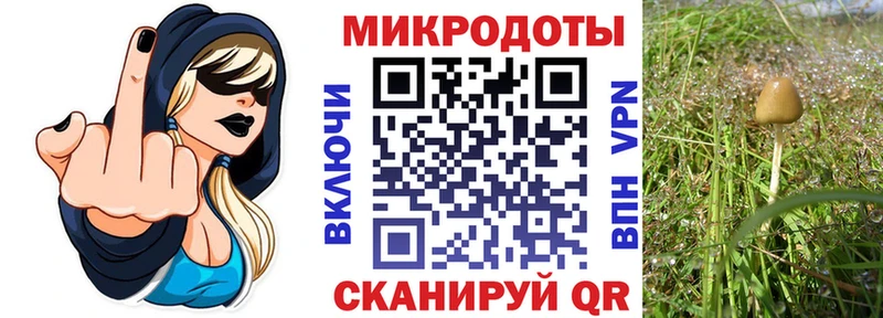 Псилоцибиновые грибы ЛСД  Яхрома 